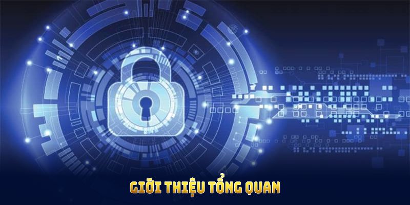 Giới thiệu tổng quan về chính sách bảo mật tại 88VV