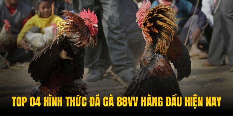 Đá gà cựa tròn là một trong các hình thức gay cấn bậc nhất
